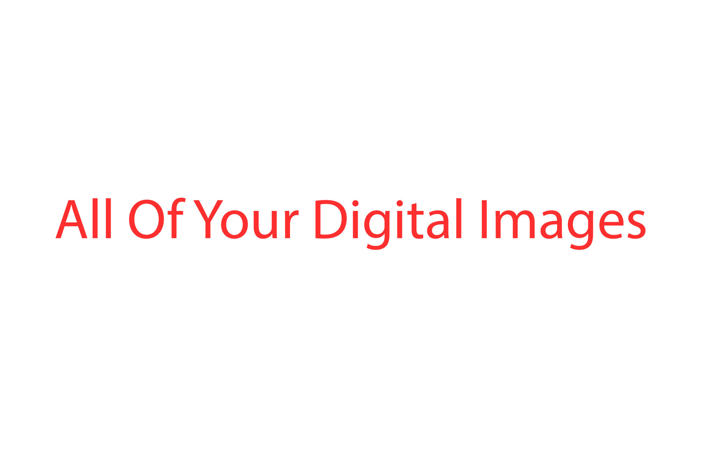 All The Digital Image From Your Gallery